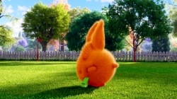 انیمیشن سانی بانیز قسمت 294 - sunny bunnies